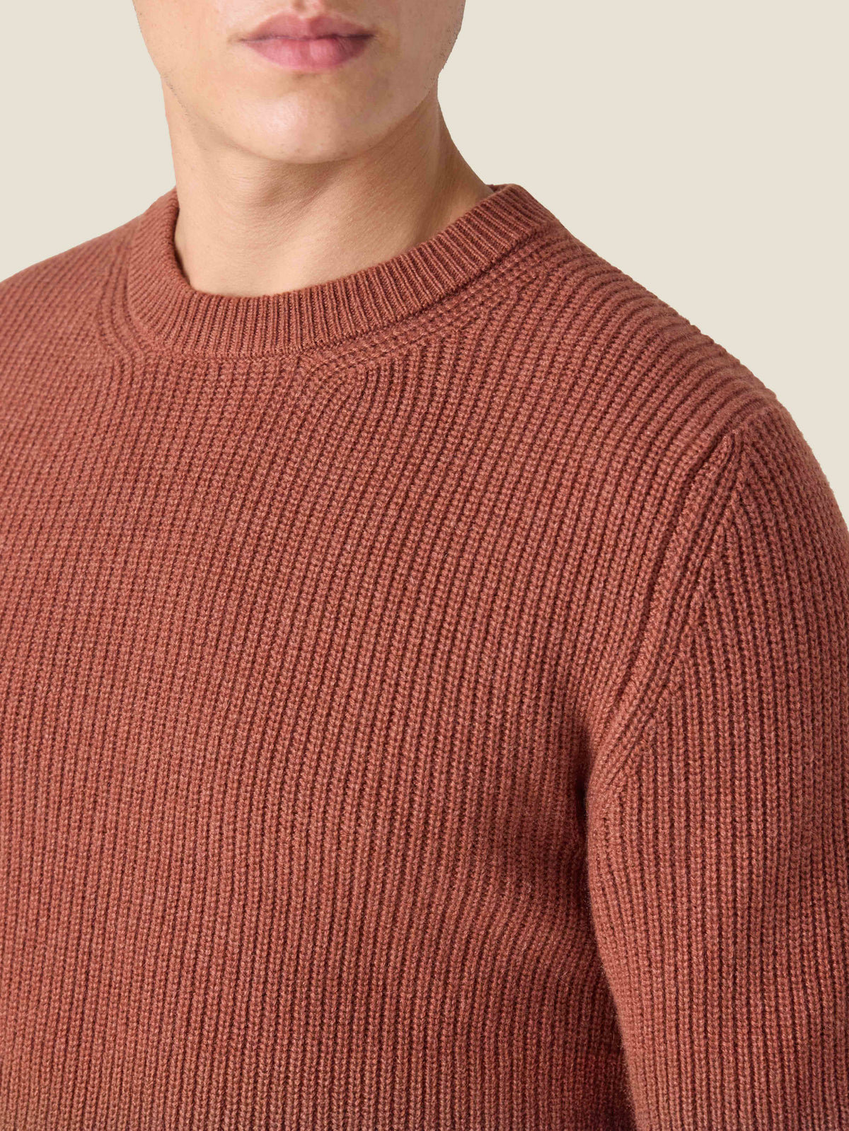 Close-up of a man wearing the Rust Chunky Knit Cashmere Crew Neck, highlighting the ribbed knit texture and neckline detail.