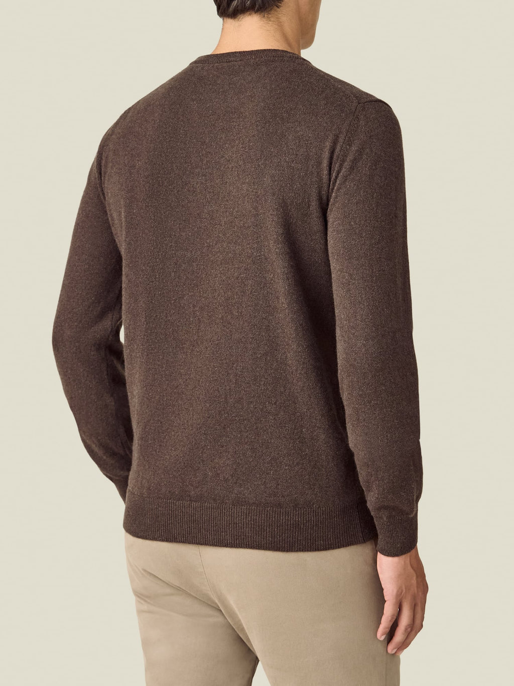 Back view of a model wearing the Luca Faloni Chocolate Brown Cashmere Crew Neck against a plain background.