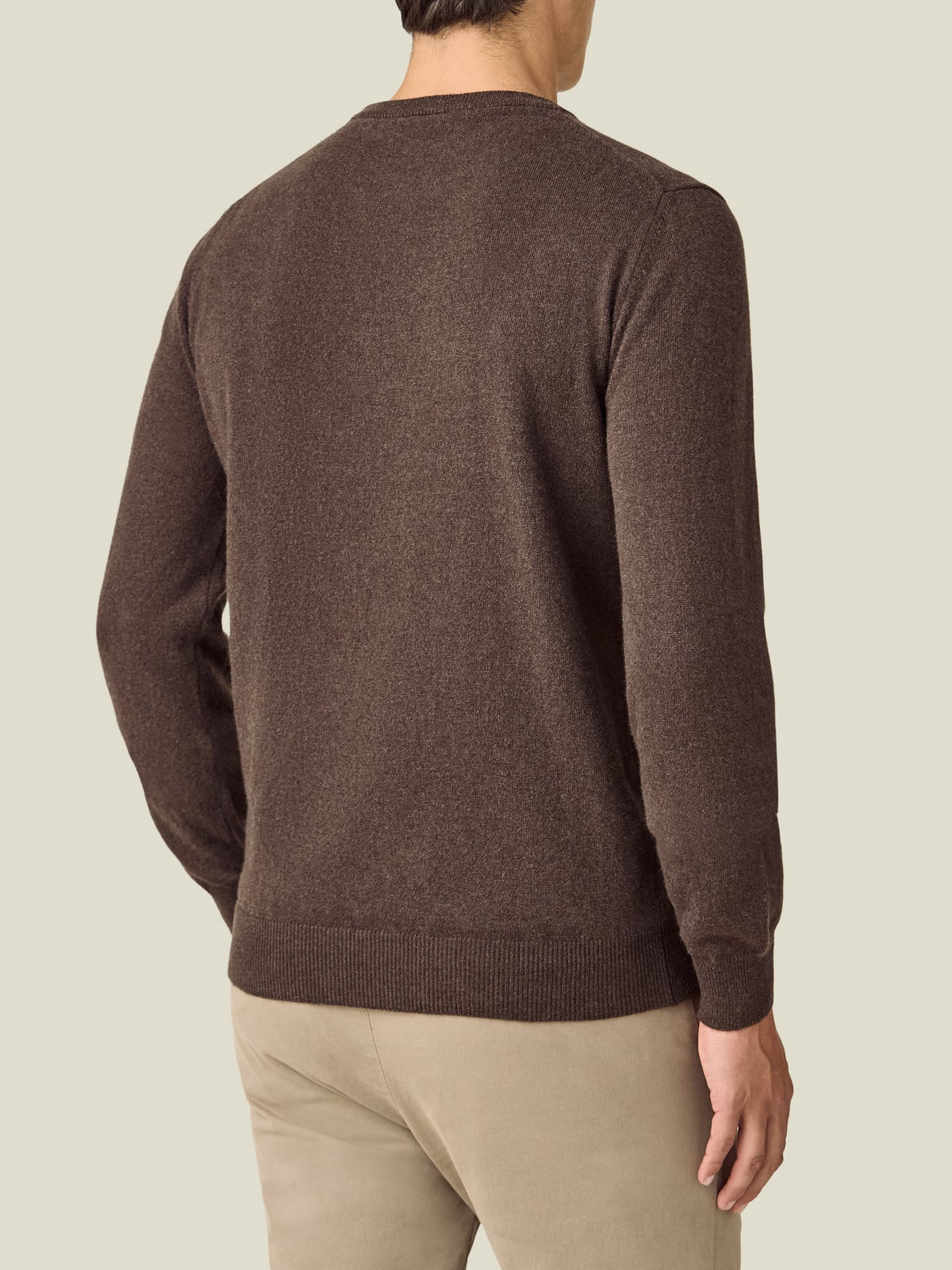 Back view of a model wearing the Luca Faloni Chocolate Brown Cashmere Crew Neck against a plain background.